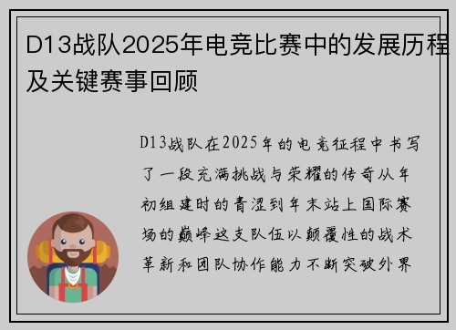 D13战队2025年电竞比赛中的发展历程及关键赛事回顾